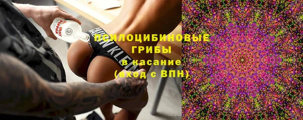 гашиш Новодвинск