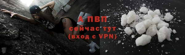 дмт Новозыбков
