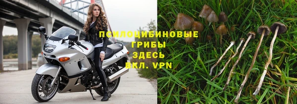 дмт Новозыбков
