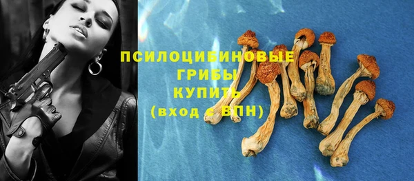 гашик Сосновый Бор