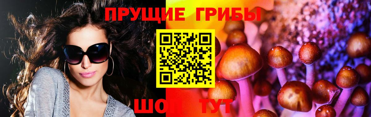 Псилоцибиновые грибы мухоморы  Вход с VPN  Псилоцибиновые грибы Magic Shrooms  Южно-Сахалинск 